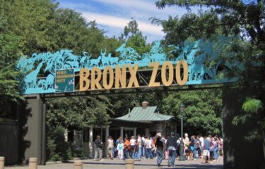 Bronx Zoo