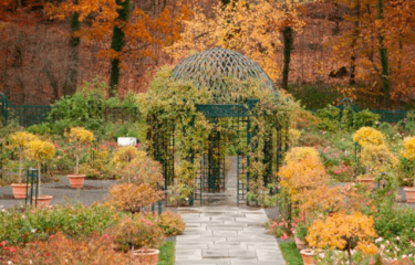 New York Botanical Garden