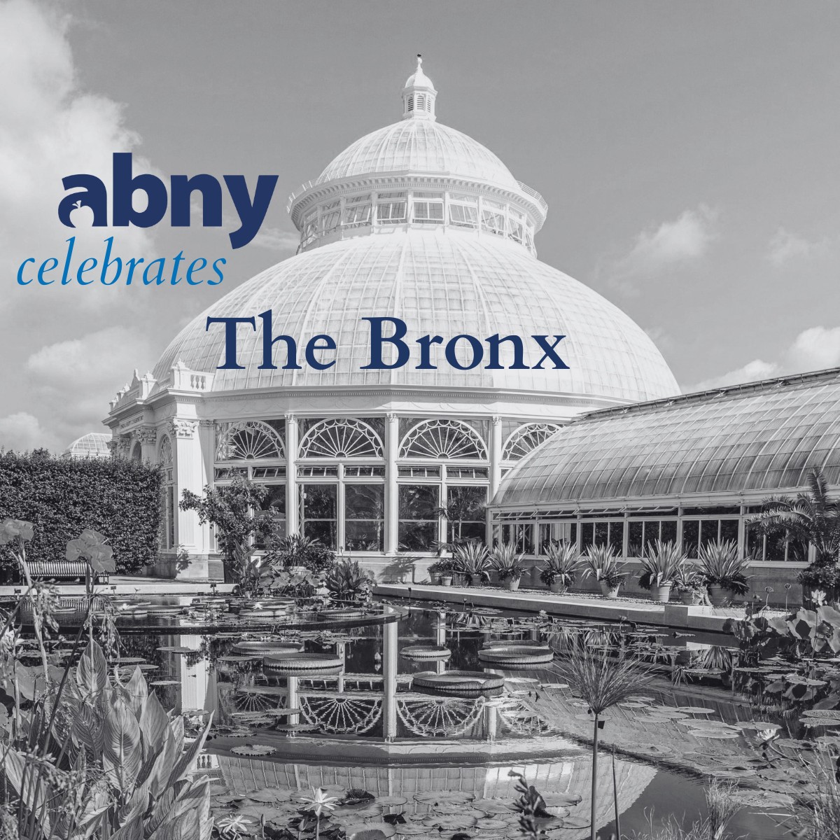 ABNY Celebrates The Bronx
